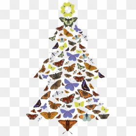 The Pine Carpet Moth Loves Scots Pine Trees , Png Download - Christmas Tree, Transparent Png - pine trees png