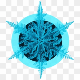 Blue Black Crystal Ice Flower Decorative Png And Psd, Transparent Png - decorative png