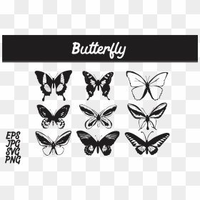 Butterfly Silhouette Set Svg Vector Image Bundle Graphic, HD Png Download - butterfly silhouette png