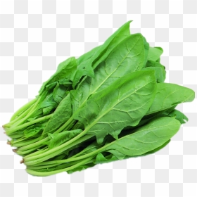 Green Spinach Png Background Image - Green Leafy Vegetables Png, Transparent Png - spinach png