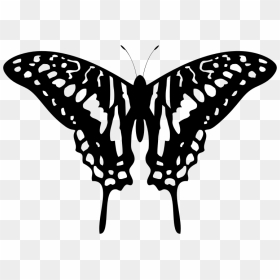 Tribal Butterfly Silhouette By Karen Arnold - Black And Grey Butterfly, HD Png Download - butterfly silhouette png