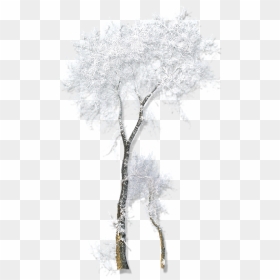 Twig Drawing Winter Belvedere Vodka - Transparent Snow Tree Gif, HD Png Download - snowing png