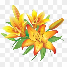 Lily Yellow Lilies Flowers Decoration Clipart Image - Lilies Clipart, HD Png Download - lily png
