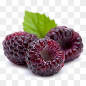 Raspberry Png Image Background, Transparent Png - raspberry png