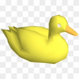 Rubber Duck Png Free Download - Runescape Duck, Transparent Png - vhv