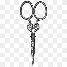 Digital Stamp Design - Scissors, HD Png Download - scissor png