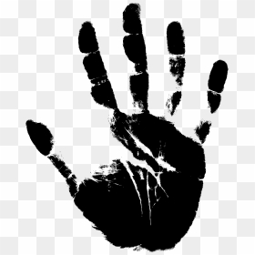 Stop Hand Vector Png, Transparent Png - peace png
