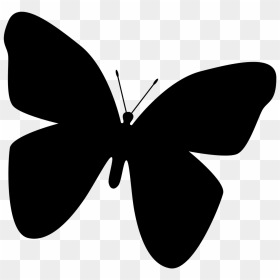 Butterfly Silhouette Clip Art - Butterfly Wing Silhouette, HD Png Download - butterfly silhouette png