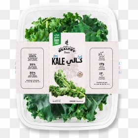 Spinach , Png Download - Spinach, Transparent Png - spinach png