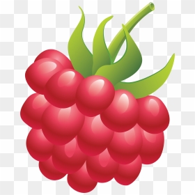 Clipart Raspberry Png, Transparent Png - raspberry png