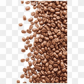 Transparent Coffee Bean Bag Clipart - Coffee Beans Vector Png, Png Download - coffee bean png