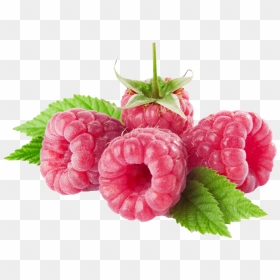 Raspberries Png Clipart - Raspberries Clipart, Transparent Png - raspberry png