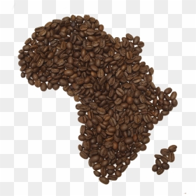Coffee Beans Png Fifteen - Hd Coffee Beans Png Transparent, Png Download - coffee bean png