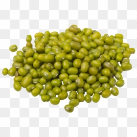 Thumb Image - Mung Bean Png, Transparent Png - bean png