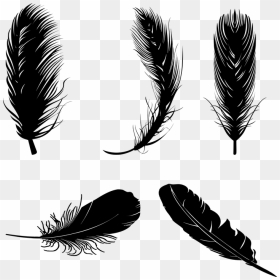 Boho Feathers Png, Transparent Png - feather vector png