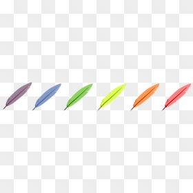 Vector Drawing Of Six Colors Feather Selection - Kayak, HD Png Download - feather vector png