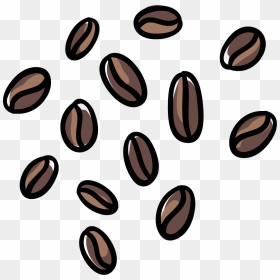 Coffee , Png Download - Seed, Transparent Png - coffee bean png
