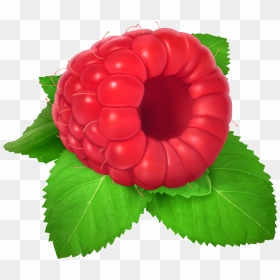 Raspberry Png Clipart - Raspberry Clipart Png, Transparent Png - raspberry png
