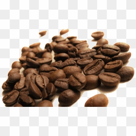 Transparent Coffee Bean Png - Brazil Flag, Png Download - coffee bean png