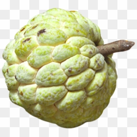 Custard Apple - Png Images Of Custard Apple, Transparent Png - apple.png