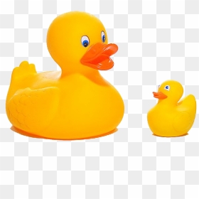 Ducks Rubber Png, Transparent Png - rubber duck png