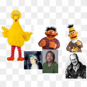 Muppet Wiki Behind The Scenes Sesame Street Elmopalooza - Big Bird, HD Png Download - big bird png