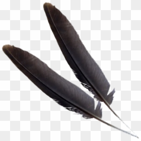 Black Png Feather Download - Feather, Transparent Png - feather vector png