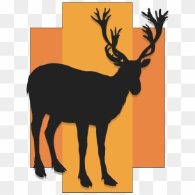 Reindeer Elk Clip Art Illustration Antler - Elk, HD Png Download - antler png