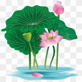 Hand Painted Plant Flower Water Lily Png And Vector - Hình Lá Sen Vẽ, Transparent Png - lily png