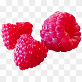 Raspberry - Ahududu Png, Transparent Png - raspberry png
