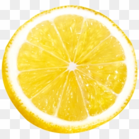 Transparent Background Lemon Slice Png, Png Download - lemon slice png