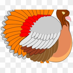 Turkey Bird Clipart Cornucopia - Thanksgiving Bike, HD Png Download - cornucopia png