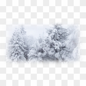 Winter Snow Desktop Wallpaper Cold Winter Png Download - Winter Snow Background Free, Transparent Png - snowing png