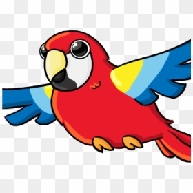 Music Notes Hatenylo Com Google Search Animals - Parrot Clipart Transparent Background, HD Png Download - jungle png