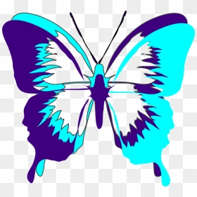Small Butterfly Clip Art Free - Black And White Outline Image Of Butterfly, HD Png Download - butterfly silhouette png