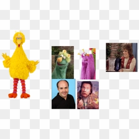 Muppet Wiki Behind The Scenes Sesame Street Episode - Big Bird Sesame Street, HD Png Download - big bird png