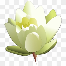 Water Lily Clip Arts - Water Lily Clipart, HD Png Download - lily png