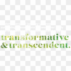 Transparent Quote Mark Png - Calligraphy, Png Download - quotation marks png