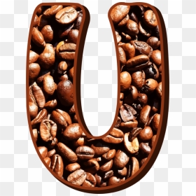 Jamaican Blue Mountain Coffee Cafe Coffee Bean Arabica - Coffee Bean U Png, Transparent Png - coffee bean png