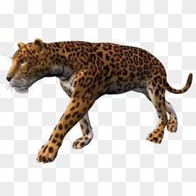 Walking Leopard Png Pic - Leopard Animation, Transparent Png - leopard png