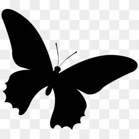 Silhouette Butterfly Insect Free Photo - Kupu Kupu Vektor Png, Transparent Png - butterfly silhouette png