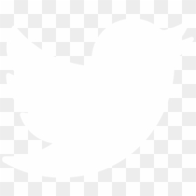 Twitter Transparent Logo White , Png Download - White Twitter Logo Transparent, Png Download - twitter png transparent