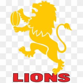 Golden Lions Rugby Logo Clip Arts - Golden Lions Rugby Logo, HD Png Download - lions logo png