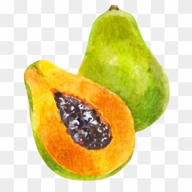 Hand Painted A Half Papaya Png Transparent - Cartoon Papaya Transparent, Png Download - papaya png