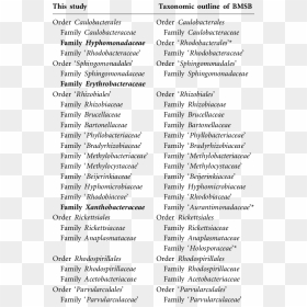 Tiden, HD Png Download - quotation marks png