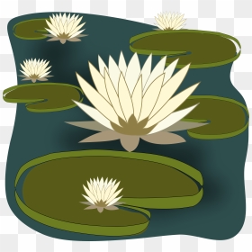 Big Image - Water Lilies Clipart, HD Png Download - lily png