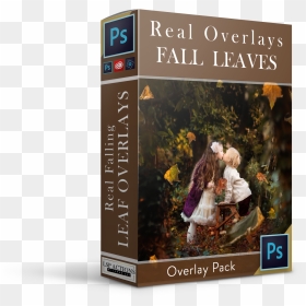 Real Falling Leaves Overlays - Flyer, HD Png Download - frost overlay png