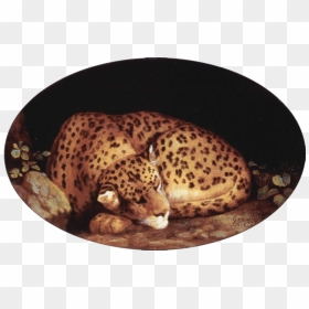 File - George Stubbs - Leopard - George Stubbs Sleeping Leopard, HD Png Download - leopard png