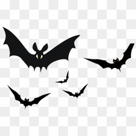 Halloween Horror Aero The - Transparent Background Horror Bat Png, Png Download - horror png