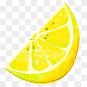 Lemon Slice Illustration, HD Png Download - lemon slice png